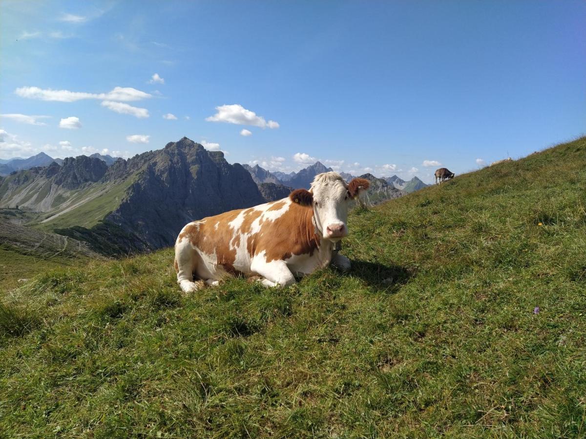 Ferienwohnung Zum Bartelt Hohenschwangau Zewnętrze zdjęcie