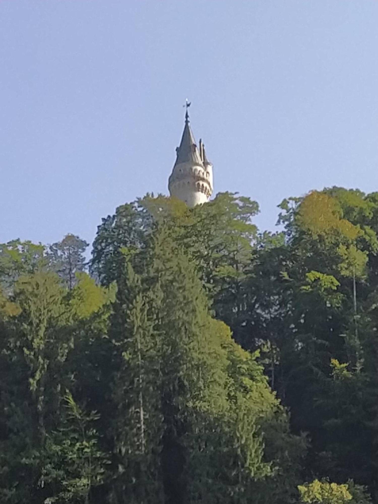 Ferienwohnung Zum Bartelt Hohenschwangau Zewnętrze zdjęcie